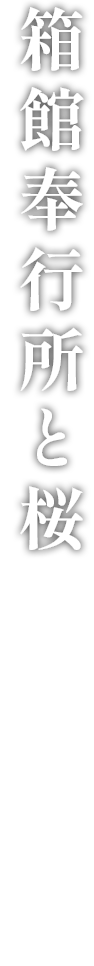 函館奉行所と桜